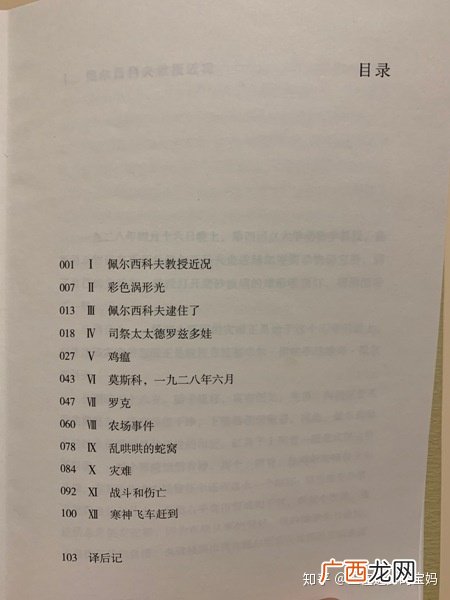 讽刺社会的小说,讽刺小说怎么写？