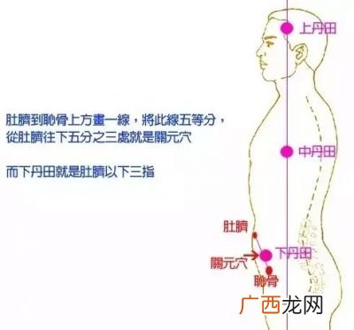 丹田的位置在哪里,丹田在哪里，图片？