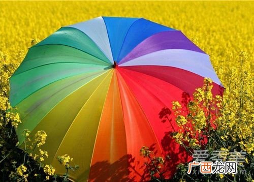 送伞代表什么,伞的寓意是什么意思？