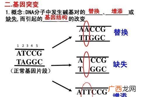 生物进化的实质是什么,种群进化的实质是什么？