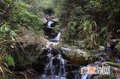 山涧什么意思,山间和山涧有什么区别？