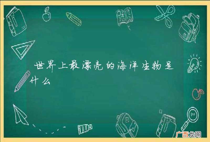 世界上最漂亮的海洋生物是什么