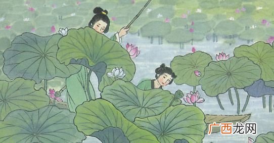 采莲曲中的芙蓉指的是什么意思,三年级下册采莲曲的诗意怎么写？