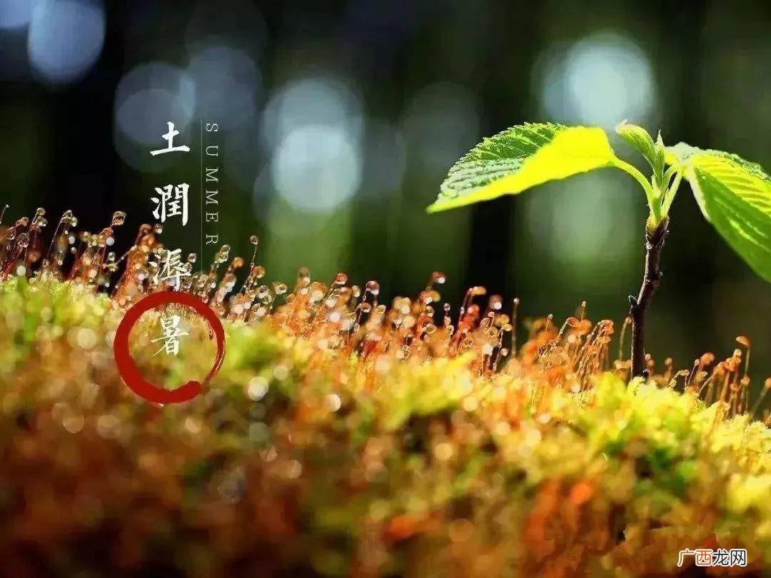 溽暑酷夏是什么意思,汤姆叔叔的小屋好词,好句在第几页？