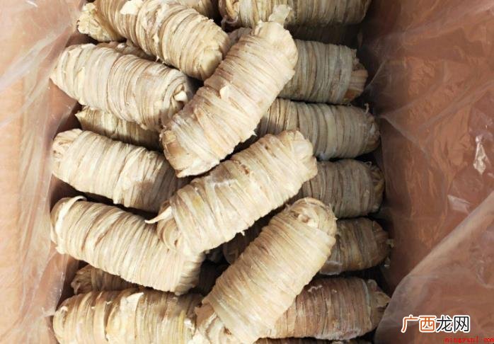 肠衣界定及主要用途有什么 肠衣定义及用途有哪些