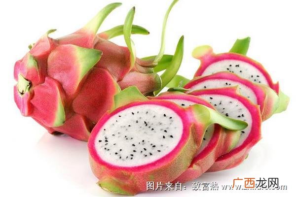 怎么挑选火龙果,火龙果苗怎么选？