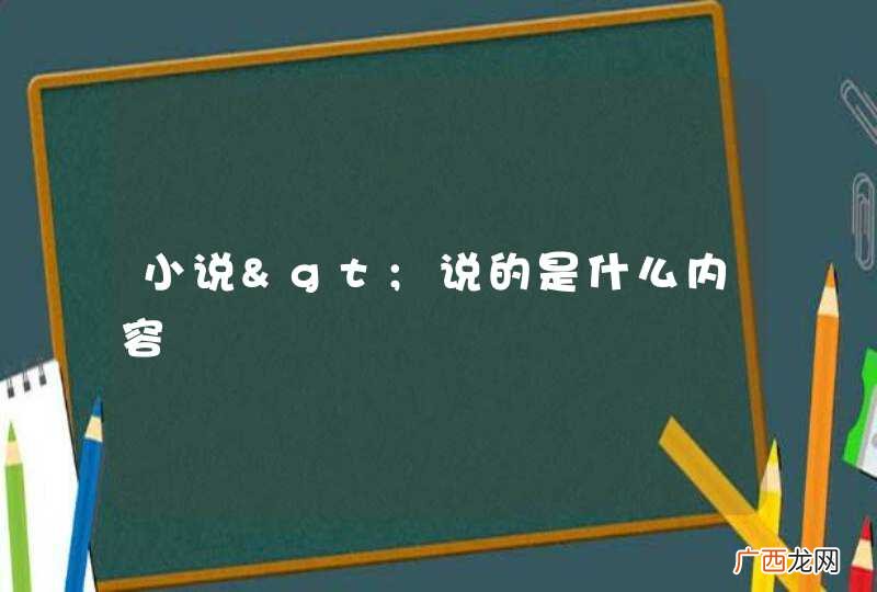 小说>说的是什么内容