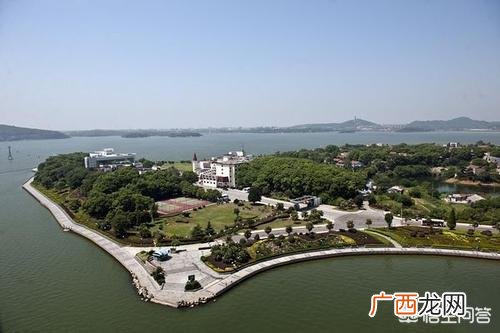 岳阳有什么特产,岳阳有那些特产？