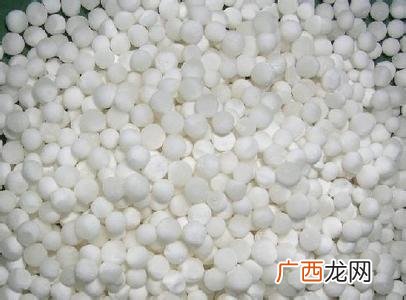 西米是什么,西米是什么植物的种子？