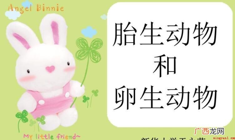 胎生和卵生的区别是什么
