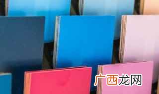 《九品芝麻官》中天下第一神捕雷豹和包龙星的一个片段着装颜色 红蓝黑灰什么梗是什么梗