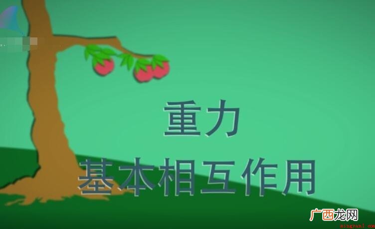 相互作用在物理学中的分析方法 什么是相互作用力