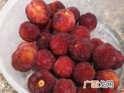 杨梅怎么才好吃
