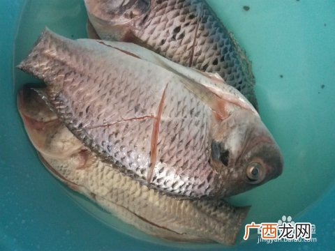 溪鱼怎么做好吃,南瓜豆腐鱼的做法？