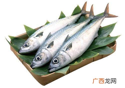 马鲛鱼是什么鱼,马友鱼和马鲛鱼的区别？