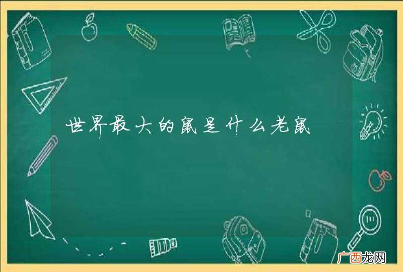 世界最大的鼠是什么老鼠