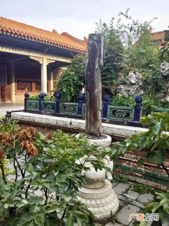 故宫里御花园的介绍,故宫御花园占地面积有多大？
