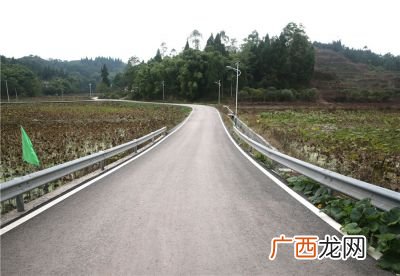 农村公路分为几种,道路什么填上合适的词语？