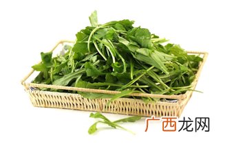 儿菜是什么菜,儿菜和芽菜是什么菜？