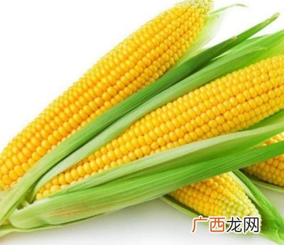 玉米品种有哪些,世界上有多少种玉米？