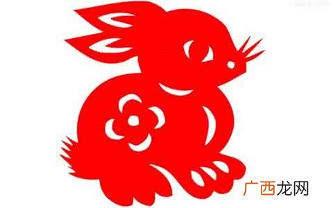 1987年属什么生肖,87属兔的来历?