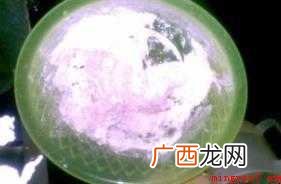 年年春节吃春卷,春卷皮怎么做 春卷皮怎么做