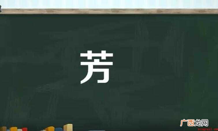 芳的组词有哪些
