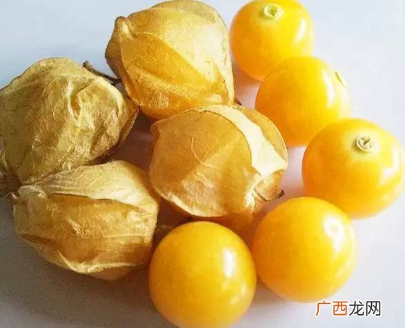 黄姑娘果学名叫什么,一种被黄叶包裹的水果叫啥？