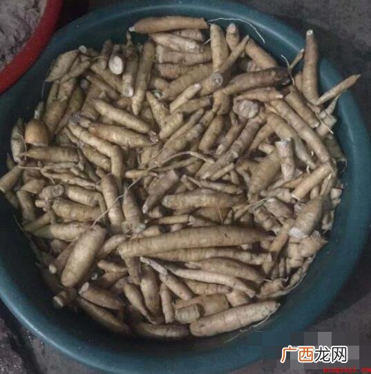 如何在家自制木薯粉?_健康频道 如何在家自制木薯粉