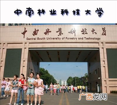 中南林业大学是几本,中南林科大是一本吗?