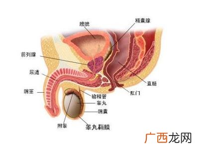 前列腺有钙化点是什么,前列腺钙化如何治疗？