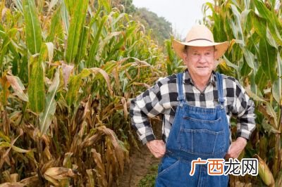 丰收的近义词是啥呢,丰收在望的近义词？