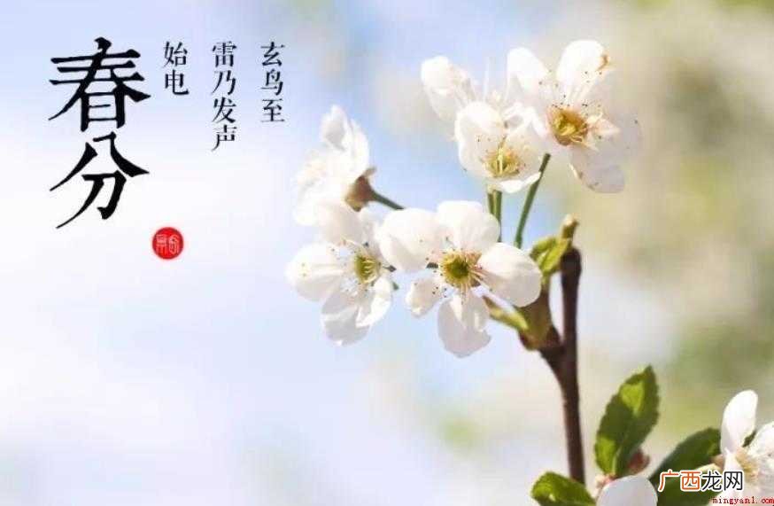 春分名称由来是什么 太阳入赤道内 春分名称由来是什么