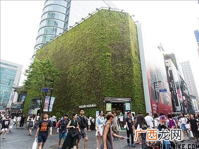 korea是哪个国家,koreans怎么读?