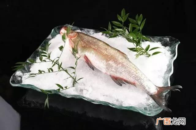 兴凯湖的鱼是什么样,兴凯湖的鱼类形状？