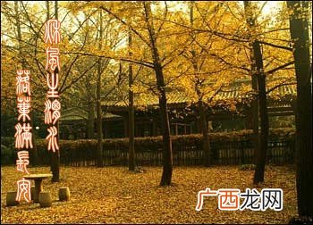秋风生渭水落叶满长安的意思,“西风吹渭水,落叶满长安”出自哪？是什么意思？
