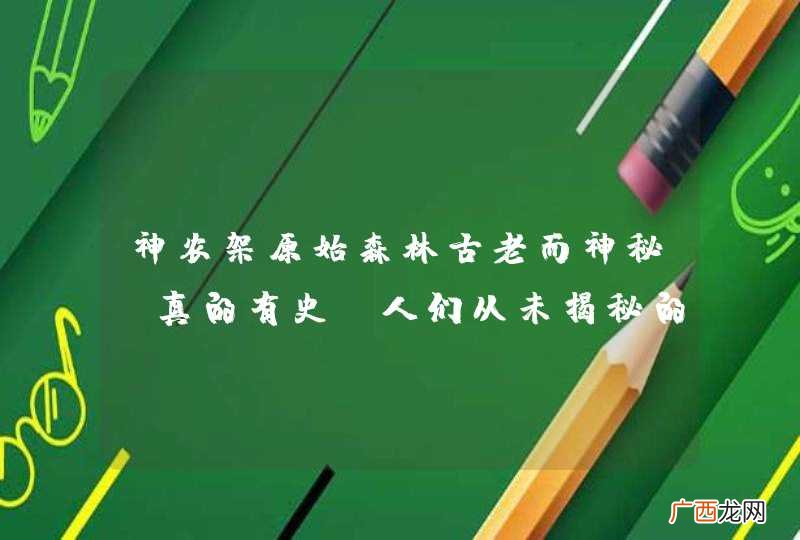 神农架原始森林古老而神秘,真的有史前人们从未揭秘的文化吗?