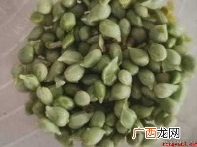 水果酒怎么酿制