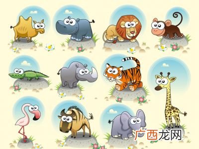 大象和河马的动画片叫什么,小河马刷牙的动画片？