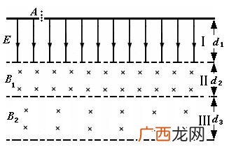 实验中钨酸的作用是什么,tem用什么染色？