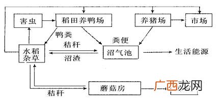 碳在无机环境中以什么形式存在的,物质循环c在无机环境中以什么形式存在？