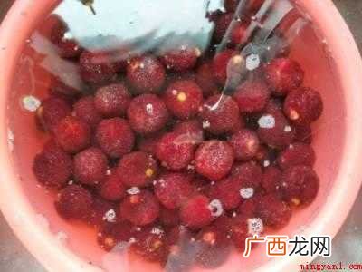 杨梅干怎么晒