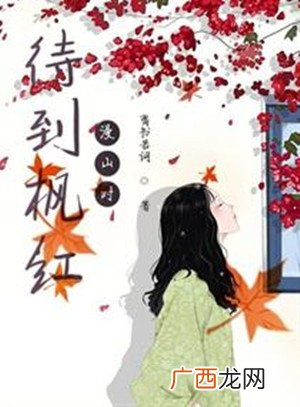 沈辞是哪部小说,罕见又好听的古风姓氏，加名字，写古代小说用？