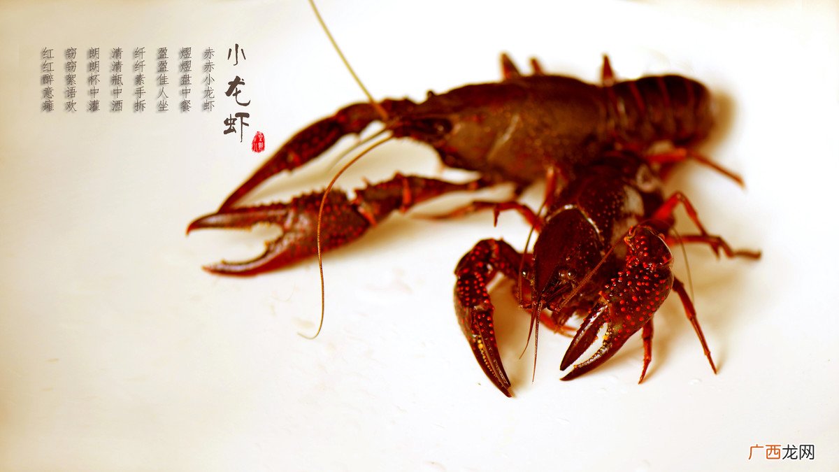 龙虾是怎么来的中国的,龙虾是怎么来的？