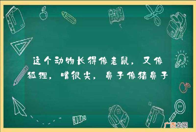这个动物长得像老鼠，又像狐狸，嘴很尖，鼻子像猪鼻子。见到人很害怕。这个是什么东东嘛？
