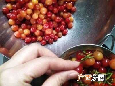 大樱桃怎么保存可以放冰箱里吗