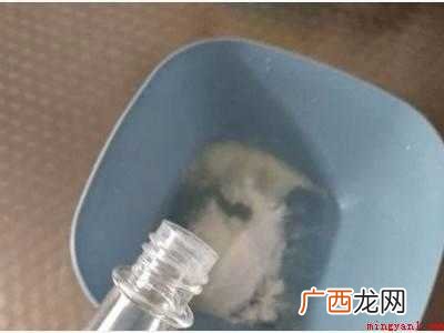 下水道口的小飞虫怎么处理