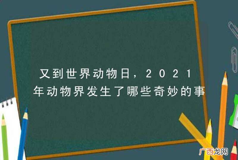 又到世界动物日，2021年动物界发生了哪些奇妙的事？
