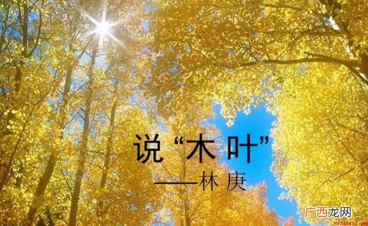 《说“木叶”》的作者是谁