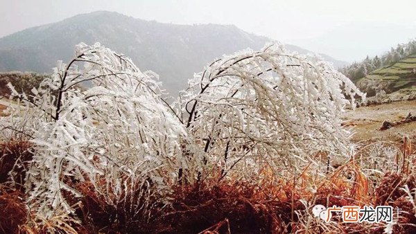 绍兴王坛有什么好玩的,绍兴哪些地方适合情侣去？